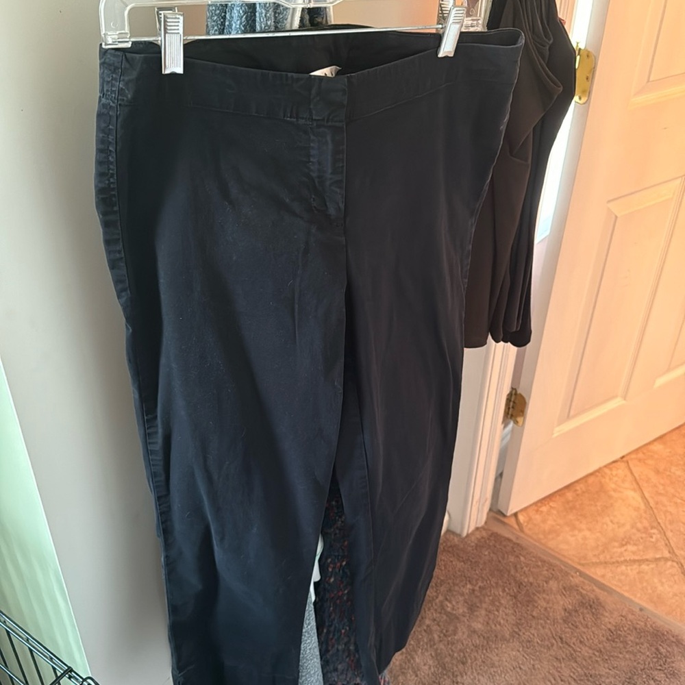 CAbi capris size 8